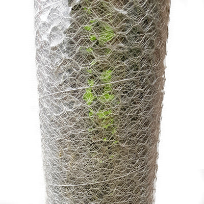 Mesh - Chicken Wire