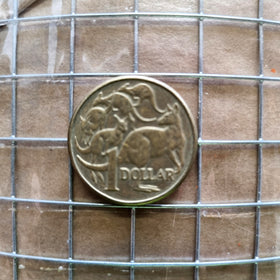 Weld Mesh - Galvanised - 12.5mm x 12.5mm x 1200mm high x 30m roll. Australia