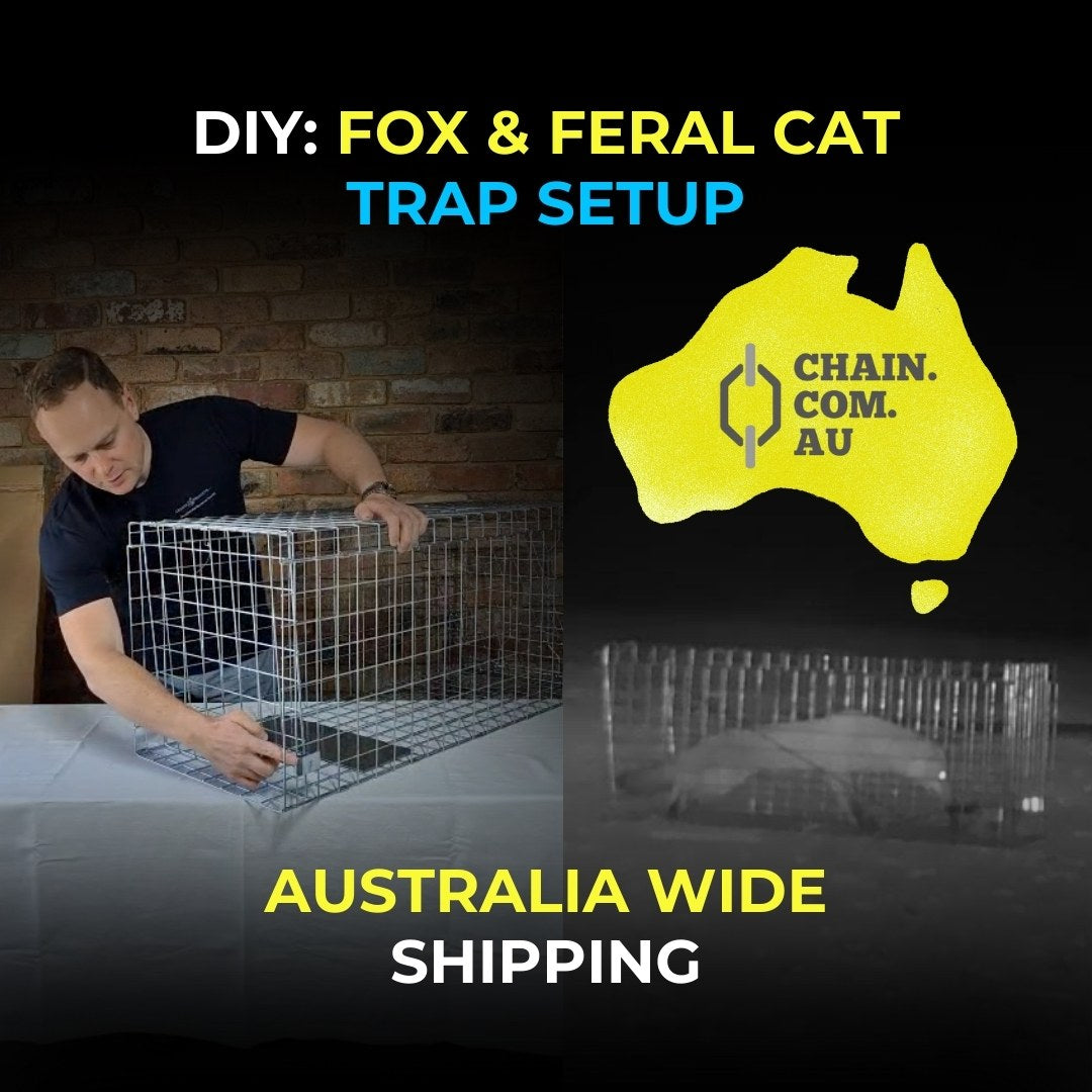 Quick &amp; Easy: How to Set Up Our Humane Wire Animal Traps. Australia.