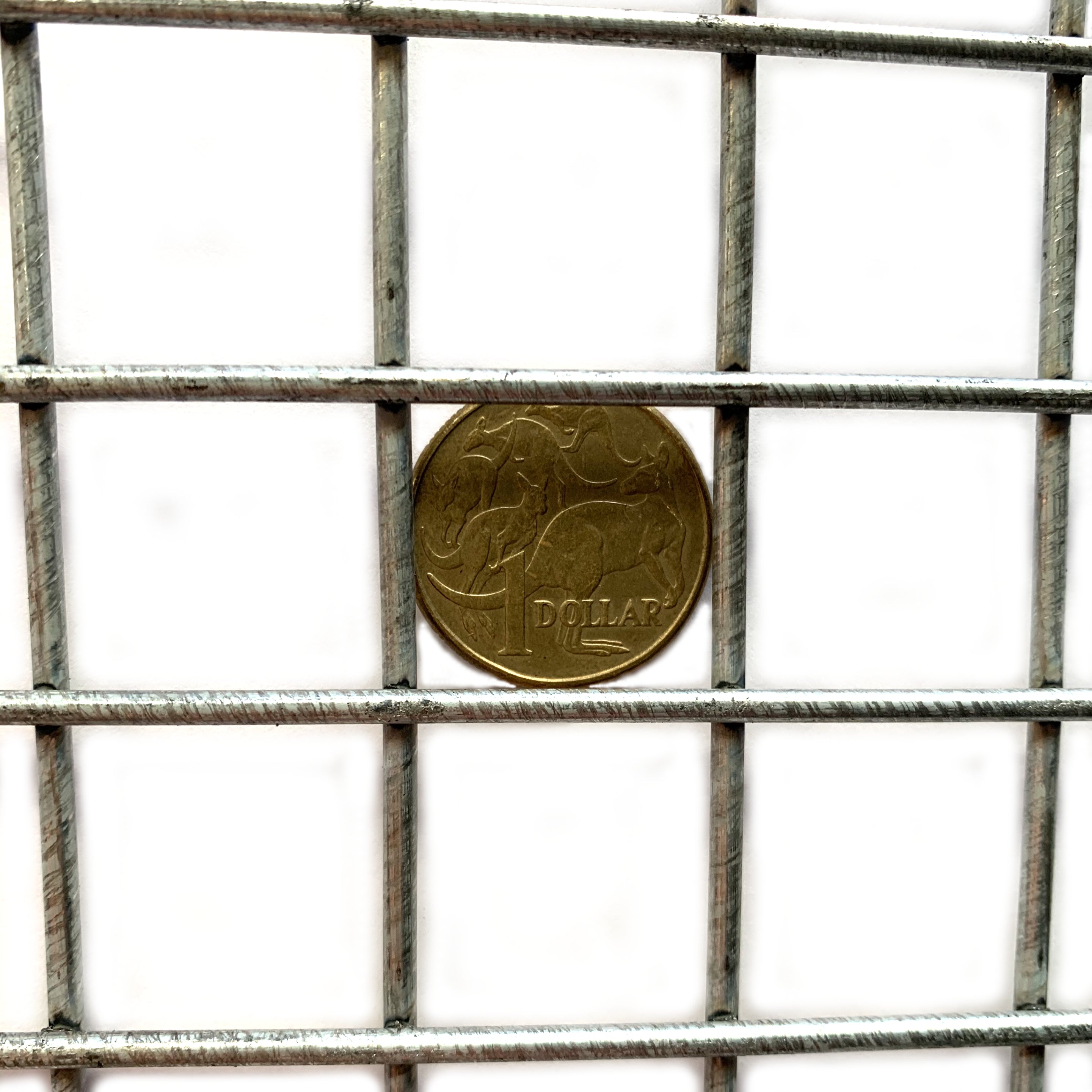 New! Galvanised Weld Mesh Sheets | Chain.com.au