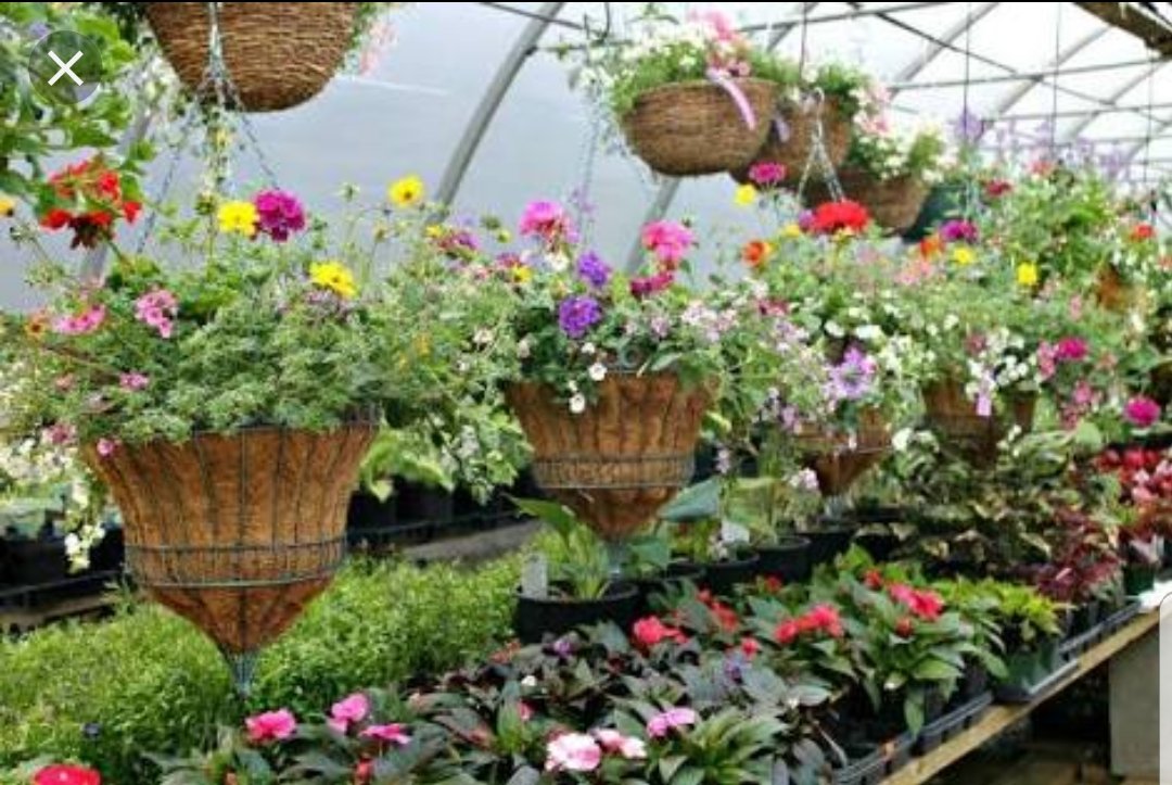 Garden and landscaping supplies