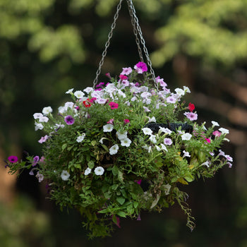 Garden and landscaping supplies. Australia wide shipping