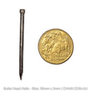 Bullet head nails, size: 50mm x 2mm. Australian made. Shop: chain.com.au. Shipping Australia wide.