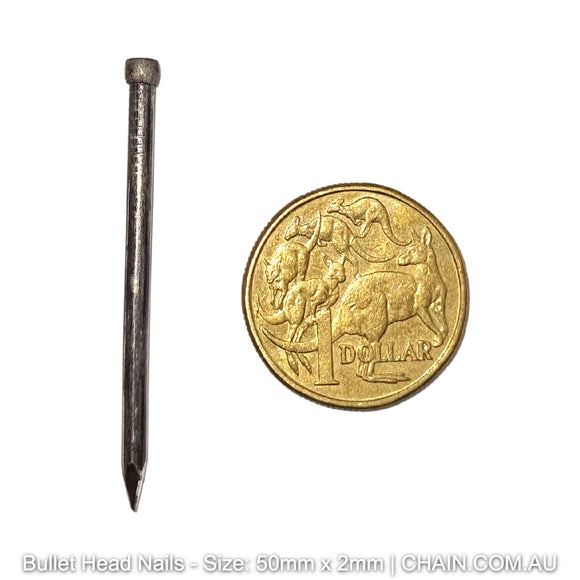 Bullet head nails, size: 50mm x 2mm. Australian made. Shop: chain.com.au. Shipping Australia wide.