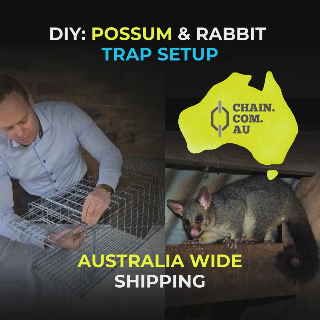 How to set up a possum trap. Australia.