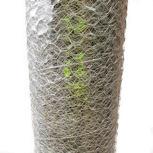 Chicken Wire - 12.5mm Opening x 900mm High x 30 Metre Roll. Australia.