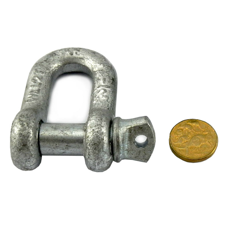 D Shackles - Galvanised - Tested & Rated