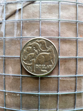 Weld Mesh - Galvanised - 12.5mm x 12.5mm x 1200mm high x 30m roll. Australia.