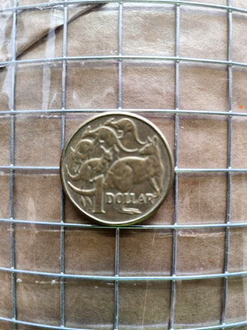 Weld Mesh - Galvanised - 12.5mm x 12.5mm x 1200mm high x 30m roll. Australia.