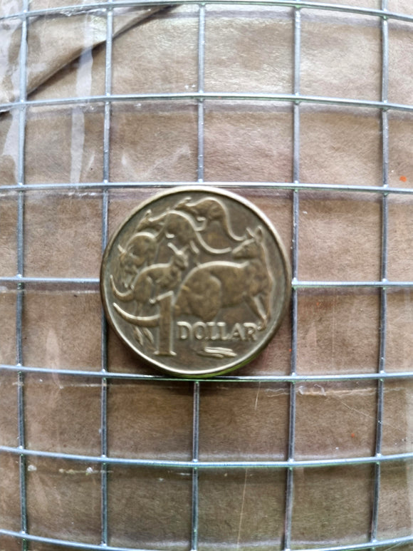 Weld Mesh - Galvanised - 12.5mm x 12.5mm x 1200mm high x 30m roll. Australia.