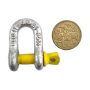 Half Tonne Rated (500kg) Galvanised and yellow D shackles, grade S, rated D shackle. Australia wide shipping. Shop hardware chain.com.au