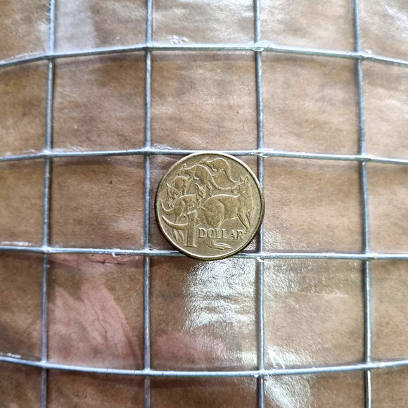 Welded Mesh Galvanised - 25mm x 25mm opening x 1200mm high x 30m roll. Australia